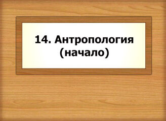 14. Антропология (начало)