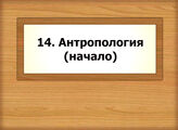 14. Антропология (начало)