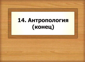 14. Антропология (конец)