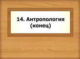 14. Антропология (конец)