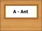 A - Ant