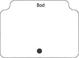 Bod