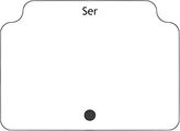 Ser