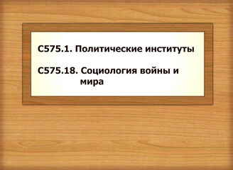 С575.1. Политические институты С575.18. Социология войны и мира