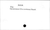 ООН