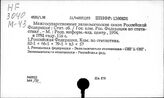 Содружество Независимых Государств и Российская Федерация