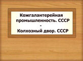 Кожгалантерейная промышленность. СССР - Колхозный двор. СССР