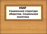 МИР. Социальная структура общества. Социальная политика