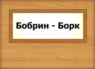 Бобрин - Борк