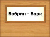 Бобрин - Борк