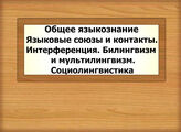 Общее языкознание. Языковые союзы и контакты. Интерференция. Билингвизм и мультилингвизм. Социолингвистика