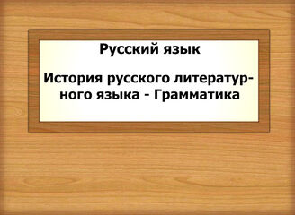 Русский язык. История русского литературного языка - Грамматика