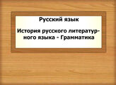 Русский язык. История русского литературного языка - Грамматика