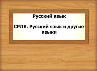 Русский язык. СРЛЯ. Русский язык и другие языки