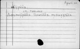 Арабский яз. ас-Сурийа