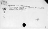 Восток. Мусульманское право. Шариат