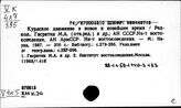Страны Ближнего Востока. Национальный вопрос