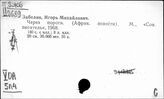 Египет. Экономическая помощь социалистических стран